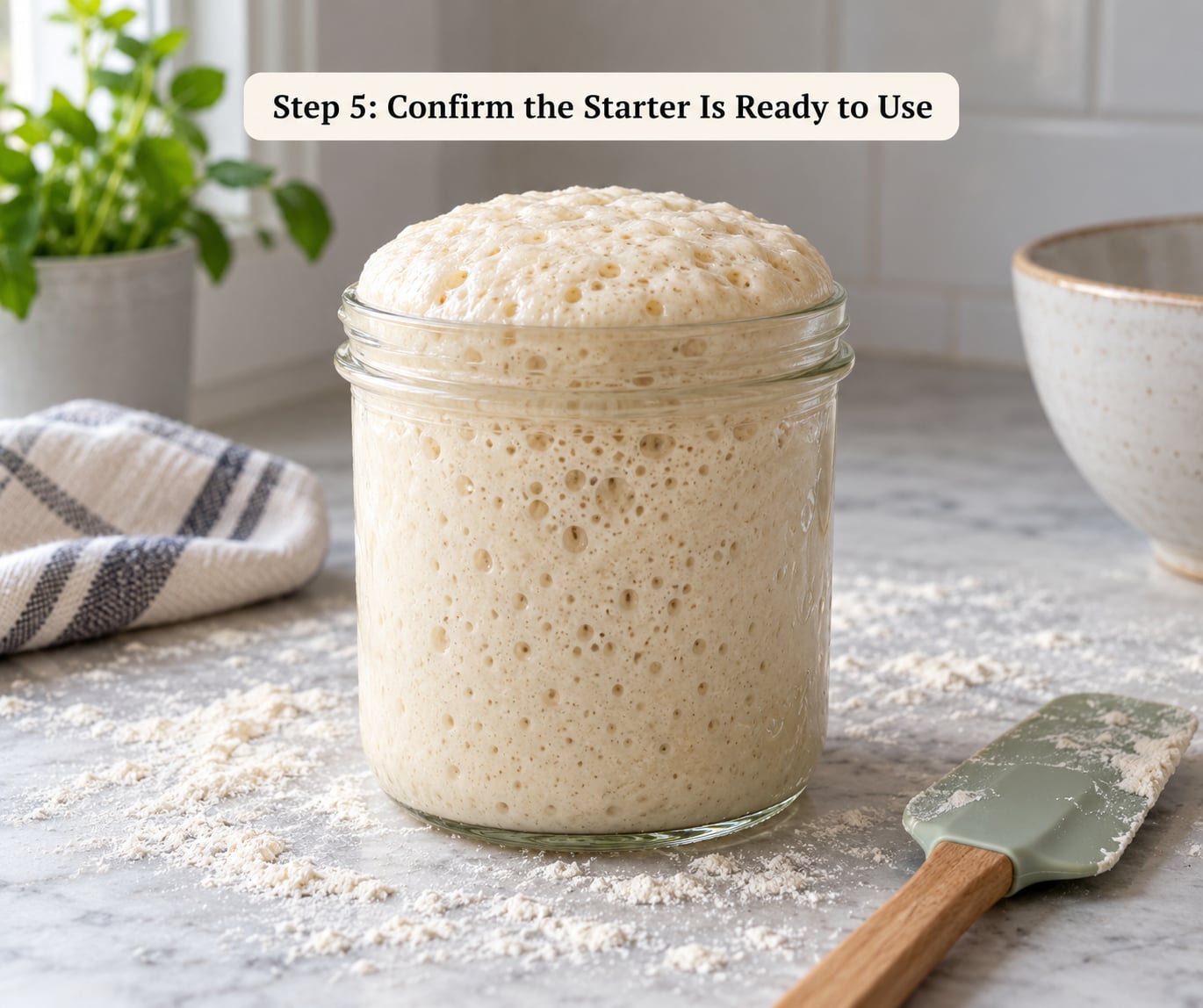 Step 5: Confirm the Starter Is Ready to Use