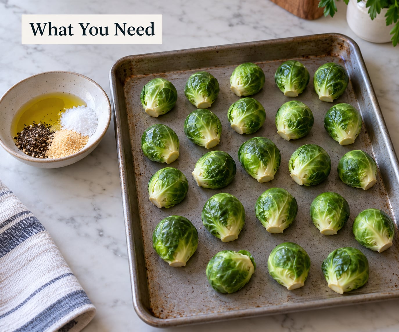 What You Need